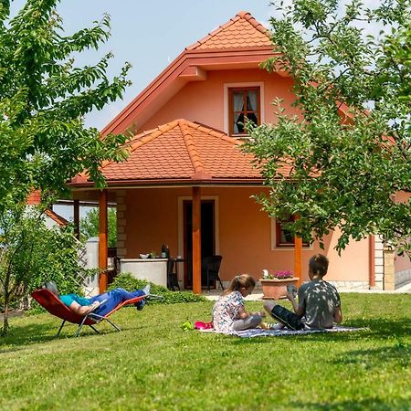 Appartamento Planinca -Hisa Z Razgledom Smarje pri Jelsah Esterno foto
