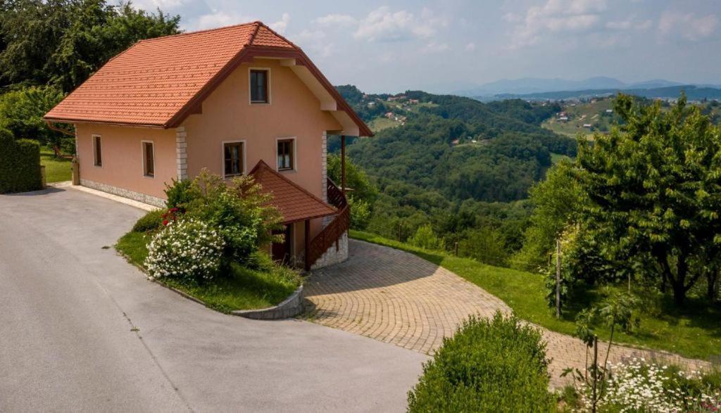 Appartamento Planinca -Hisa Z Razgledom Smarje pri Jelsah Esterno foto