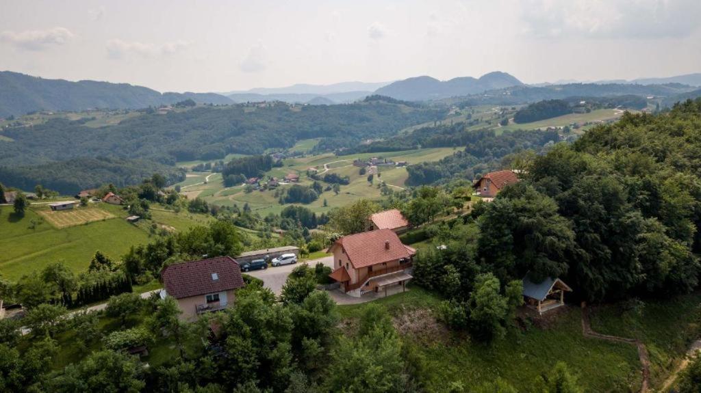 Appartamento Planinca -Hisa Z Razgledom Smarje pri Jelsah Esterno foto