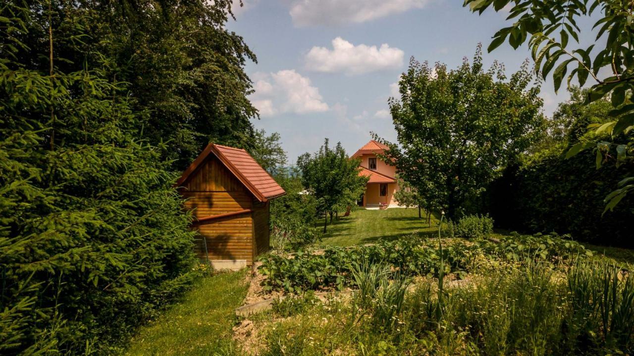 Appartamento Planinca -Hisa Z Razgledom Smarje pri Jelsah Esterno foto
