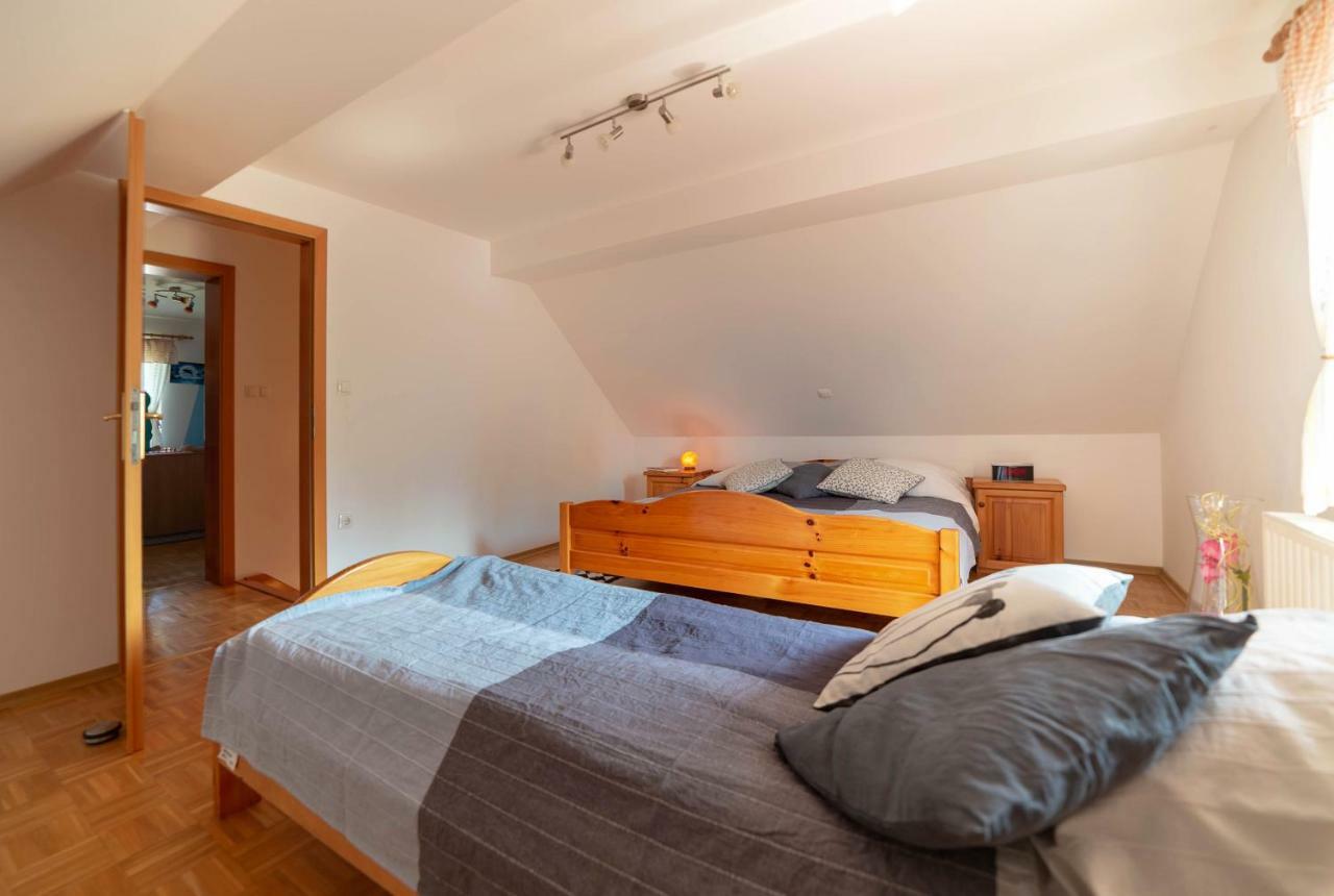 Appartamento Planinca -Hisa Z Razgledom Smarje pri Jelsah Esterno foto
