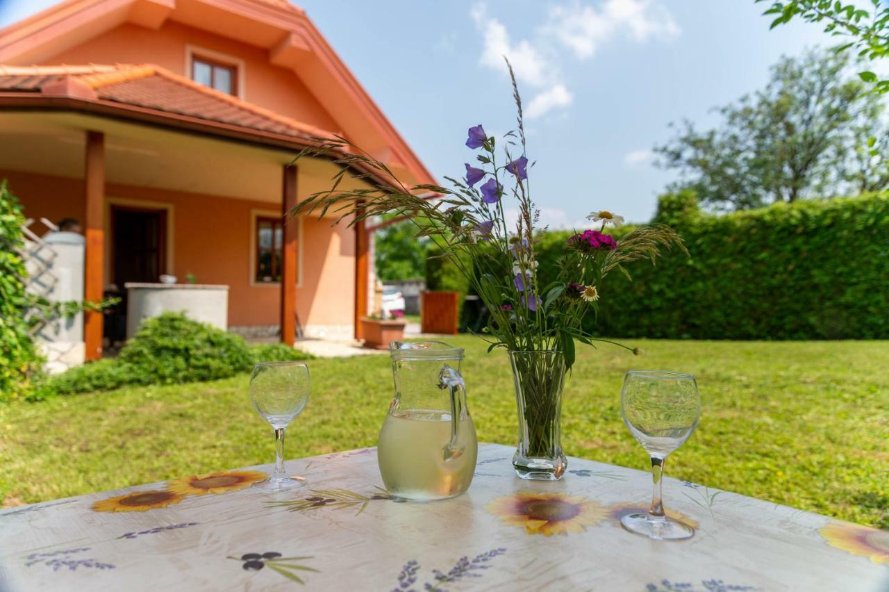 Appartamento Planinca -Hisa Z Razgledom Smarje pri Jelsah Esterno foto