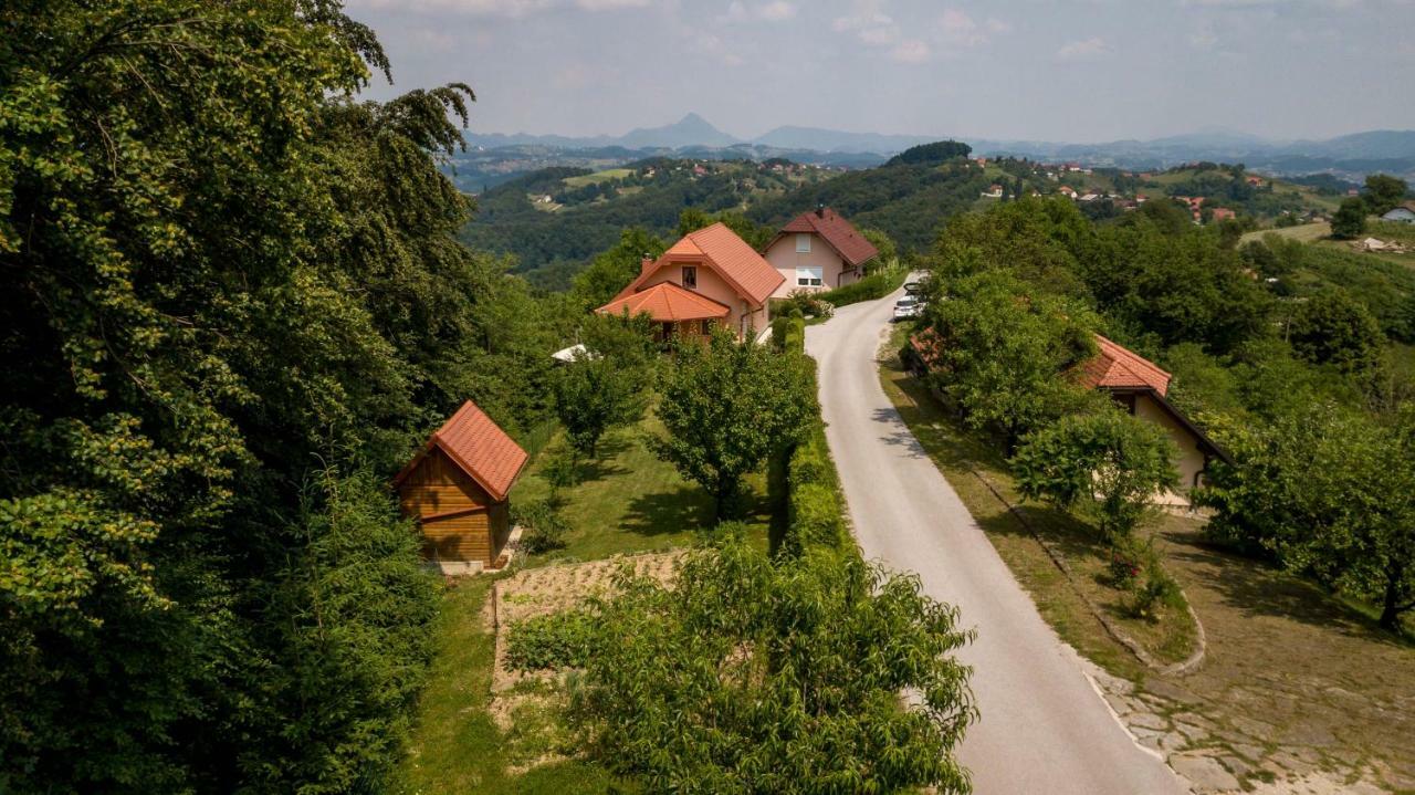 Appartamento Planinca -Hisa Z Razgledom Smarje pri Jelsah Esterno foto