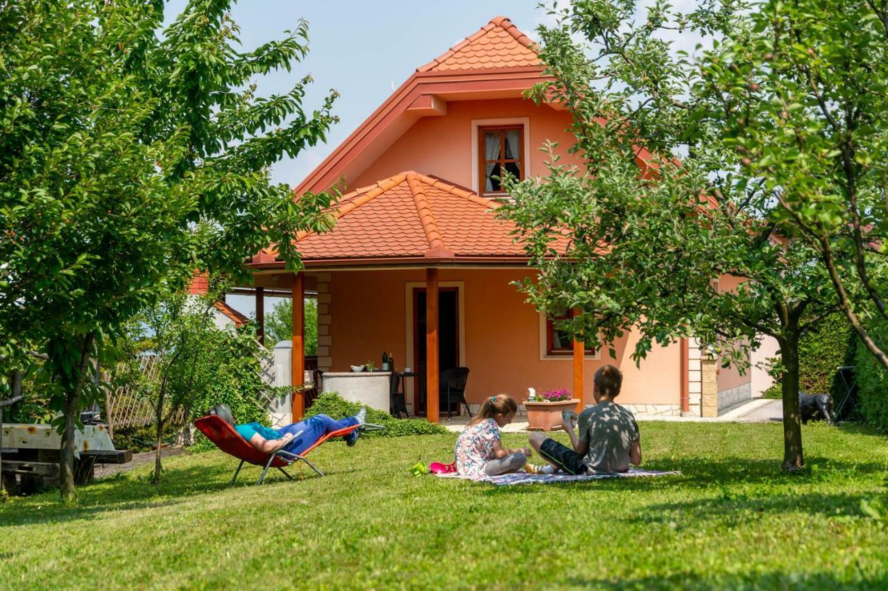 Appartamento Planinca -Hisa Z Razgledom Smarje pri Jelsah Esterno foto