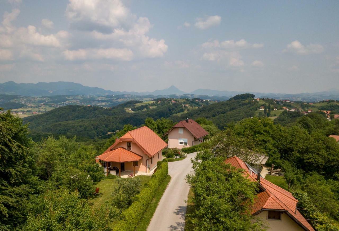 Appartamento Planinca -Hisa Z Razgledom Smarje pri Jelsah Esterno foto
