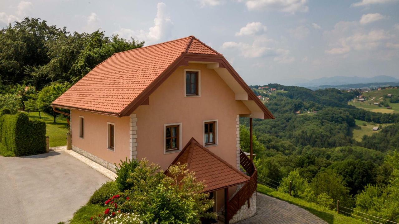Appartamento Planinca -Hisa Z Razgledom Smarje pri Jelsah Esterno foto